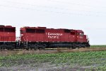 CP 6223